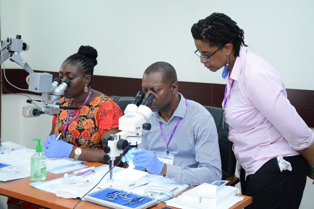 Dr Harriman stands observing two seated colleagues performing wetlabs